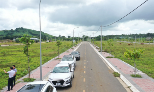 Nhà đầu tư lâu năm sẽ tích cực “săn hàng” sau dịch