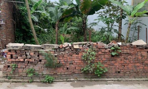 Đánh thuế bất động sản: “Người chưa sở hữu đất sẽ hưởng lợi đầu tiên”